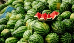 网红吃瓜小店有什么东西,揭秘热门美食背后的秘密